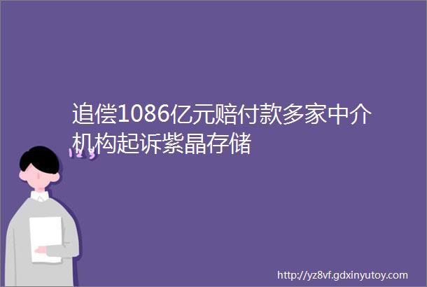 追偿1086亿元赔付款多家中介机构起诉紫晶存储